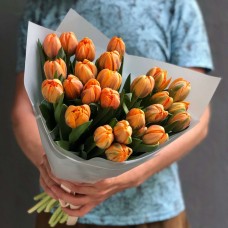 Orange tulips(35)